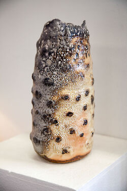 2016 foiredespotiers 4X4-bussiere-2016-12