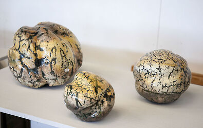 2016 foiredespotiers 4X4-bussiere-2016-2