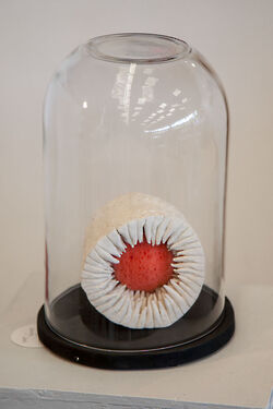 2016 foiredespotiers 4X4-bussiere-2016-5