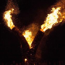 2017 foiredespotiers 4X4-bussiere-2017-29