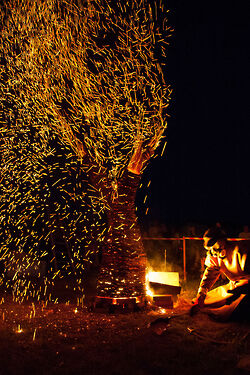 2017 foiredespotiers 4X4-bussiere-2017-35