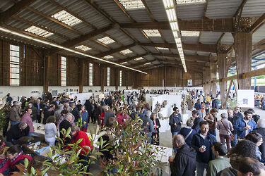 2018 serge_cousseran_L5MG 0284