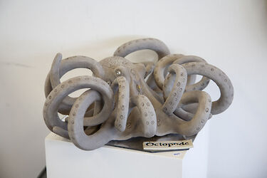 2018 serge_cousseran_L5MG 0322