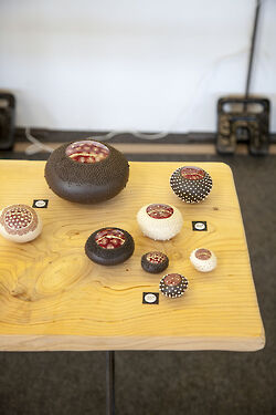 2018 serge_cousseran_L5MG 0328