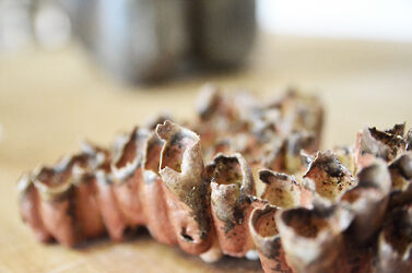 2023 foiredespotiers 4X4-bussiere-2023-DSC_1817