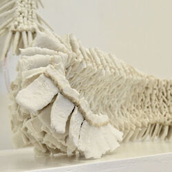 2023 foiredespotiers 4X4-bussiere-23-Vallet