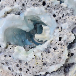 2023 foiredespotiers 4X4-bussiere-23-pouplard